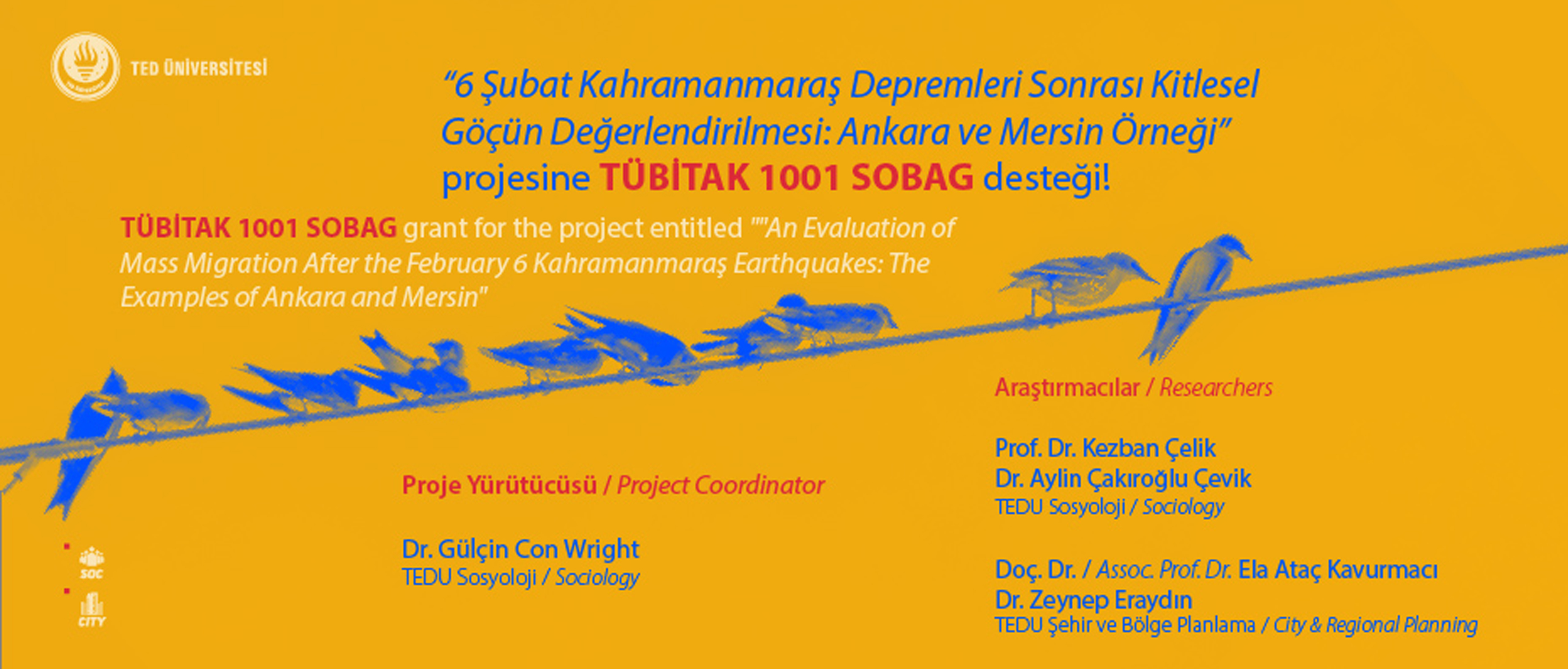 tübitak 1001, sobag