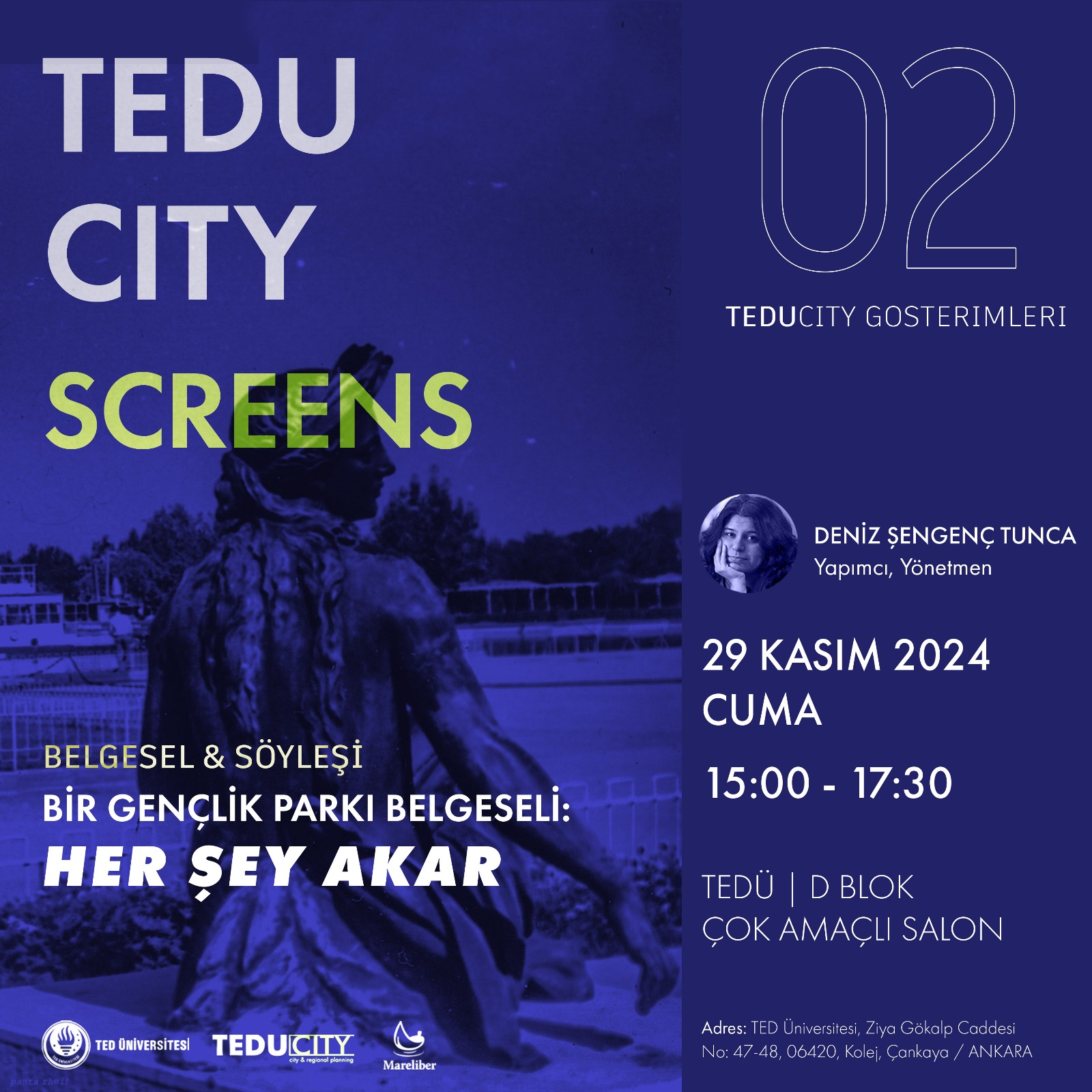 teducity screens