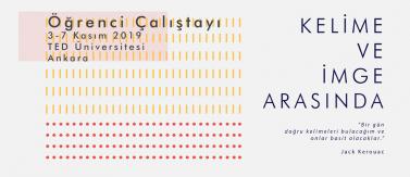 teducity çalıştay